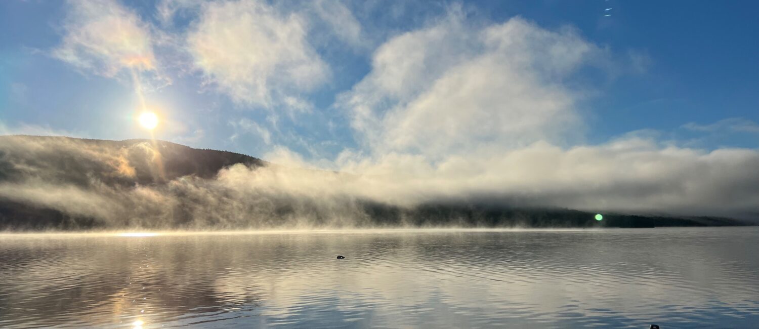 Foggy lake