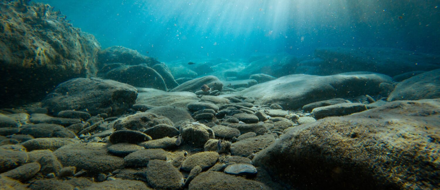 Lake bed pictured underwater with daylight streaming in